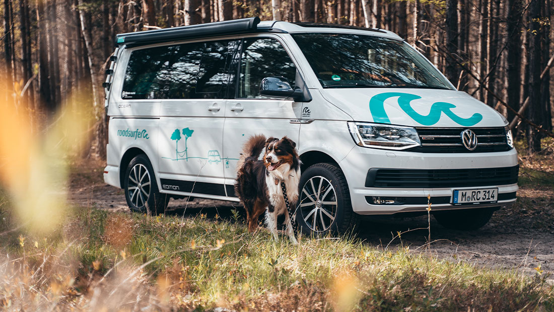 Dog Camper