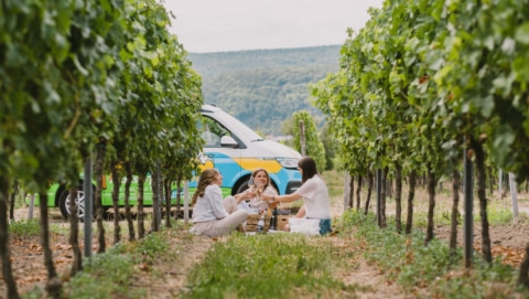 Picknick in the wineyards with girls