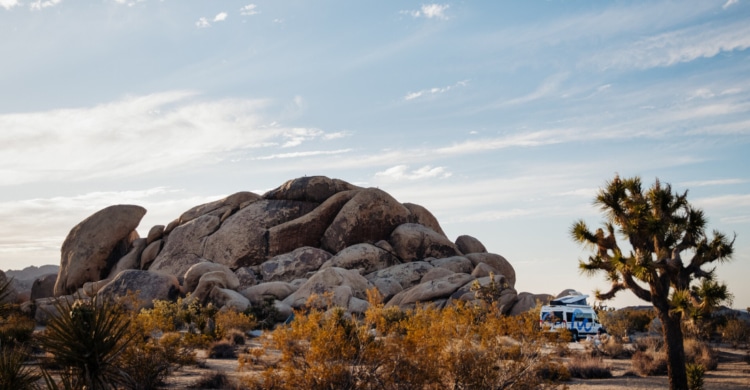 one way rental joshua tree
