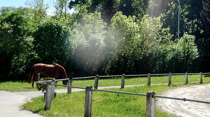 Stellplatz Reiten